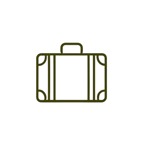 Review Travel Vision